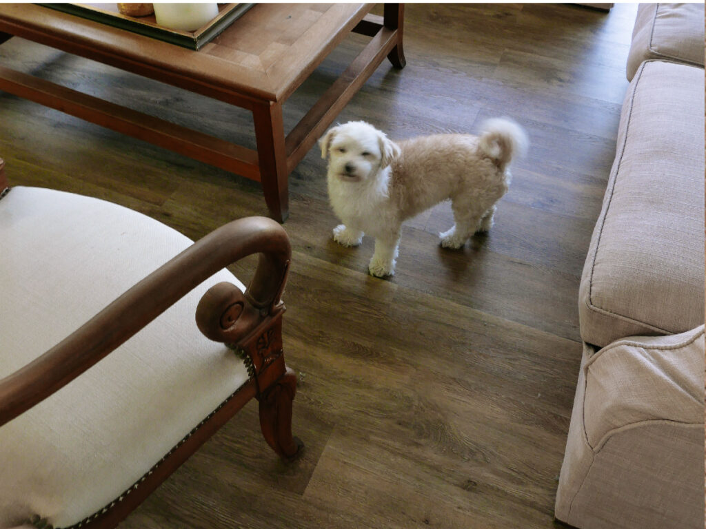 rovere-3